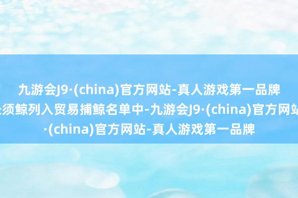 九游会J9·(china)官方网站-真人游戏第一品牌日本政府正瞎想将长须鲸列入贸易捕鲸名单中-九游会J9·(china)官方网站-真人游戏第一品牌