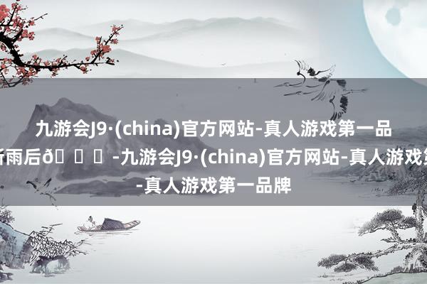 九游会J9·(china)官方网站-真人游戏第一品牌空山新雨后🍃-九游会J9·(china)官方网站-真人游戏第一品牌