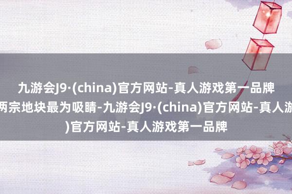 九游会J9·(china)官方网站-真人游戏第一品牌顺义后沙峪两宗地块最为吸睛-九游会J9·(china)官方网站-真人游戏第一品牌