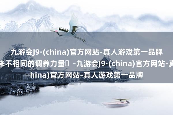 九游会J9·(china)官方网站-真人游戏第一品牌户外总能给我带来不相同的调养力量✨-九游会J9·(china)官方网站-真人游戏第一品牌