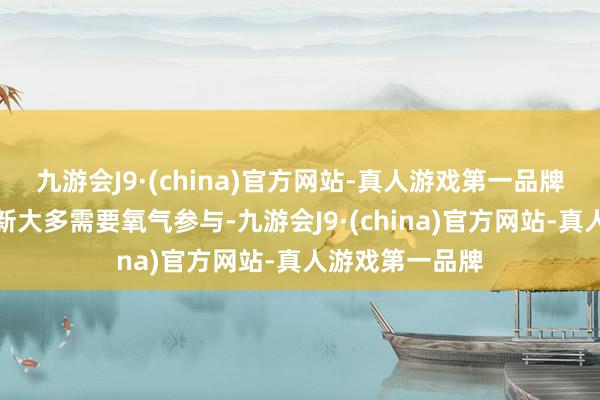 九游会J9·(china)官方网站-真人游戏第一品牌咱们的推陈出新大多需要氧气参与-九游会J9·(china)官方网站-真人游戏第一品牌