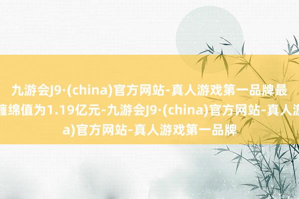 九游会J9·(china)官方网站-真人游戏第一品牌最新钞票净值缠绵值为1.19亿元-九游会J9·(china)官方网站-真人游戏第一品牌