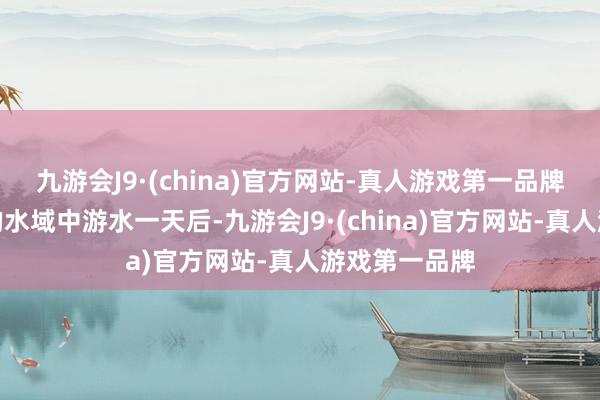 九游会J9·(china)官方网站-真人游戏第一品牌在那些壮丽的水域中游水一天后-九游会J9·(china)官方网站-真人游戏第一品牌