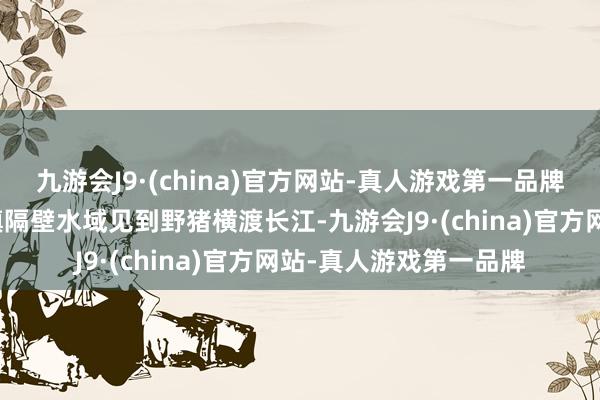 九游会J9·(china)官方网站-真人游戏第一品牌他在江西彭泽县马当镇隔壁水域见到野猪横渡长江-九游会J9·(china)官方网站-真人游戏第一品牌