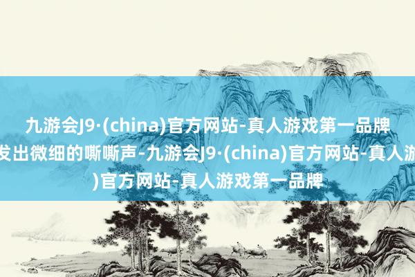 九游会J9·(china)官方网站-真人游戏第一品牌混杂物开动发出微细的嘶嘶声-九游会J9·(china)官方网站-真人游戏第一品牌