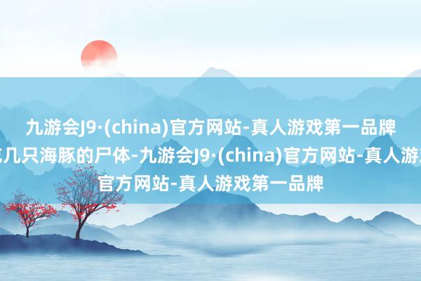 九游会J9·(china)官方网站-真人游戏第一品牌它们正在吃几只海豚的尸体-九游会J9·(china)官方网站-真人游戏第一品牌